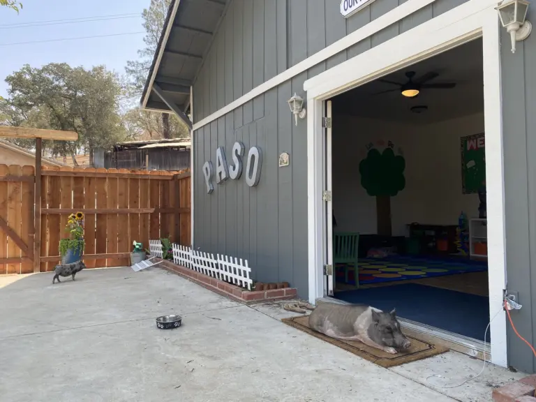 The teal board-and-batten barn with PASO on the wall, its big door rolled open to a bright classroom