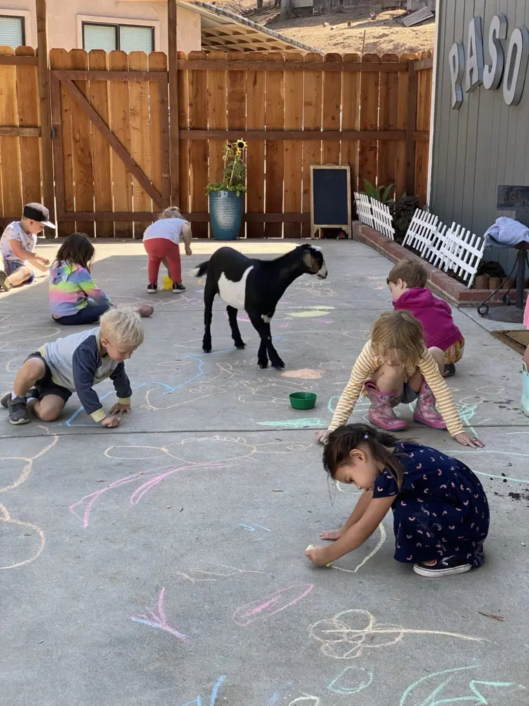 Children draw with chalk on the patio by the barn while a little black goat wanders between them