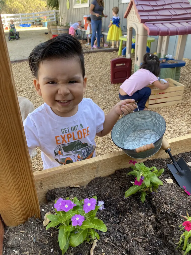 A boy grins as he waters the purple flowers in a garden box