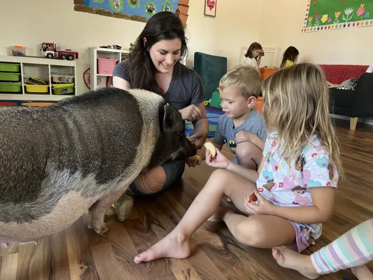 A teacher sits on the classroom floor with a big spotted pig while two children reach out to pet it