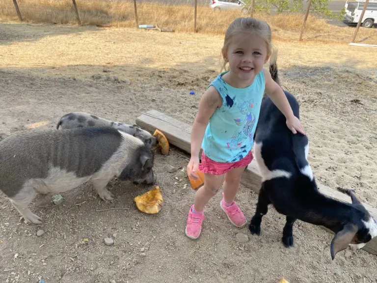 A smiling girl in a turquoise top stands between a spotted pig and a black-and-white goat in the paddock
